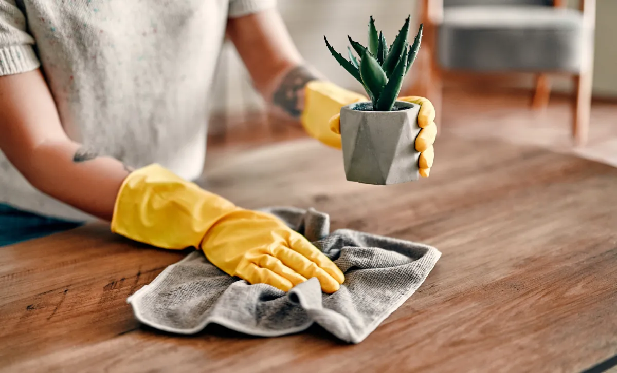 Picking up plant box then wiping table